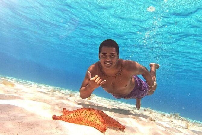 El Cielo Cozumel Snorkel tour by Catamaran - Why Cozumel Reefs Feel So Worth It Here