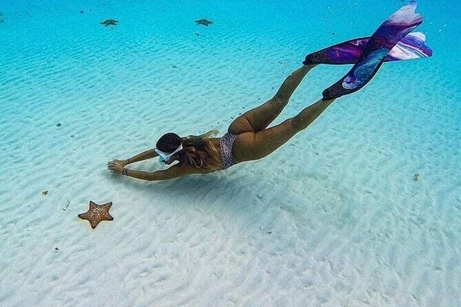 El Cielo Cozumel Snorkeling Tour - All-Inclusive - Timing, boats, and the value of spending longer on the water