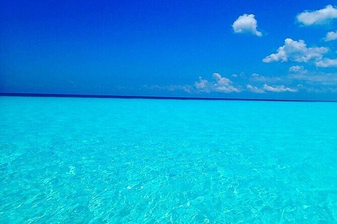 El Cielo Cozumel Snorkeling Tour - All-Inclusive - Price and value: why this can be a great deal