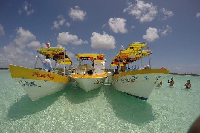 El Cielo Cozumel Snorkeling tour by Private Boat - The 4-Hour Reef Loop: What Happens From El Cielo Onward