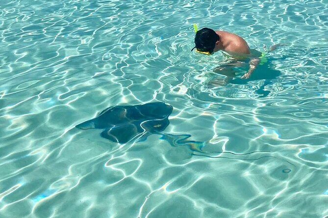 El Cielo Cozumel Snorkeling tour by Private Boat - Snorkeling Gear, Crew Support, and Safety Feel