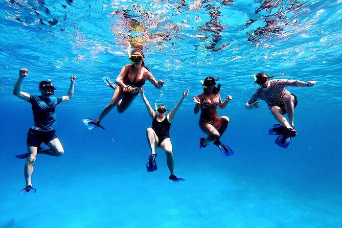 El Cielo Cozumel Snorkeling tour by Private Boat - Price and Value: How $789 Per Group Really Breaks Down