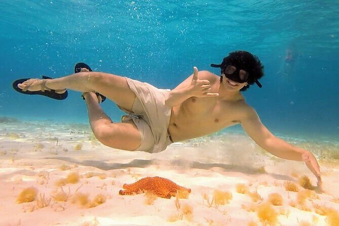 El Cielo Cozumel Snorkeling tour by Private Boat - Who Should Book This Private Boat Snorkeling Tour