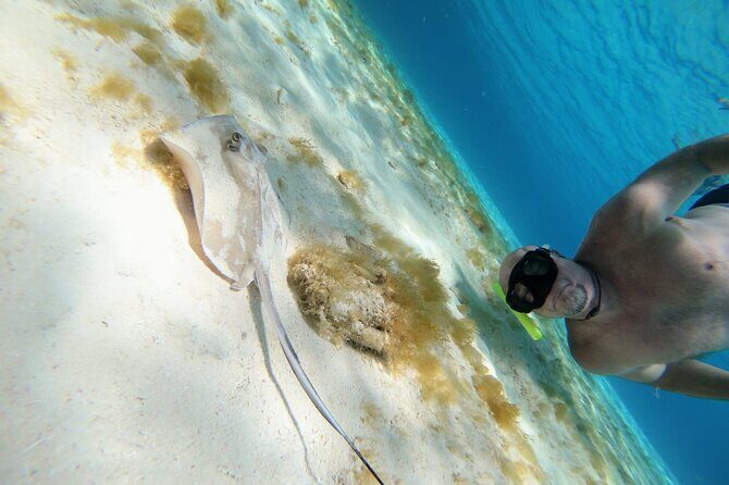 El Cielo Cozumel Snorkeling trip by Catamaran - Palancar and Columbia reefs: the main event for sea life