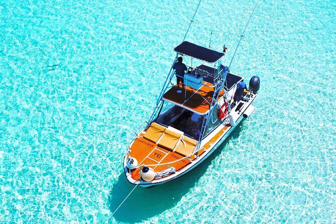 El Cielo Snorkel by Private Boat - El Cielo Moments: Secluded Beach Time and Wildlife Chances