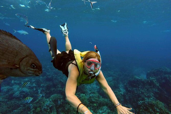 El Cielo Snorkel by Private Boat - Food and Drinks on the Water: Ceviche Lunch, Beer, Margaritas, and More