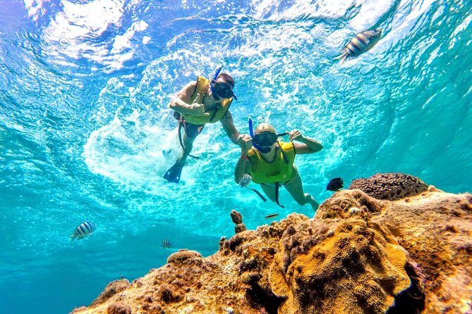 El Cielo Snorkel by Private Boat - Costs Beyond the Ticket: Marine Park Fee, Towels, Transport, and Photos