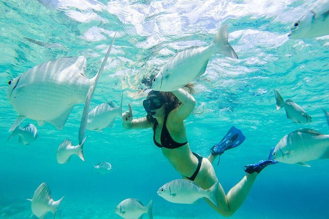 El Cielo Snorkel by Private Boat - Getting There: Tortugas Snorkel Center, No Pickup, and What to Pack