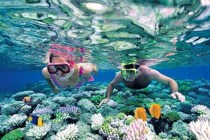Exclusive Sailing Isla Mujeres. Top tour! - Stop at Isla Mujeres: beach club time and how to use your 3 hours