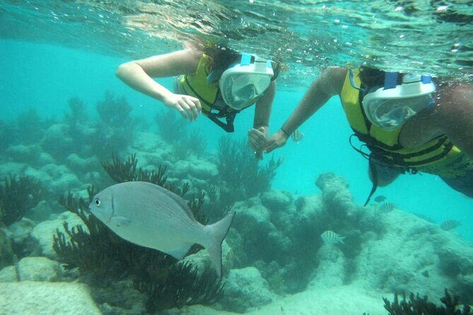 Exotik half a day tour: Cenote Cave and Swimming with Sea Turtles - Logistics Reality: Pickup Zones, Meeting Point, and Time in the Van