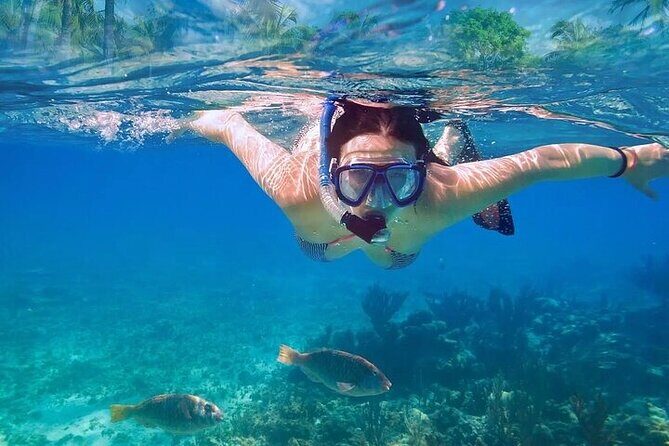 Exotik half a day tour: Cenote Cave and Swimming with Sea Turtles - Who This Tour Fits Best (and Who Might Want a Different Plan)