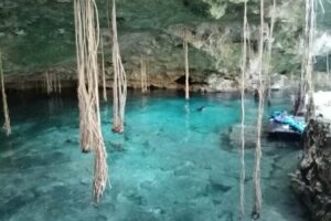 Five Cenotes Jungle Experience in the Riviera Maya - The Jungle Part: Five Cenotes, Shared Rules, and Your Pace