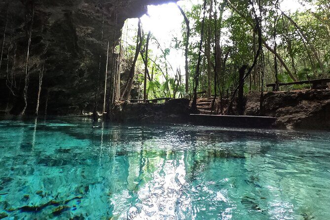 Five Cenotes Jungle Experience in the Riviera Maya - Stop 2 in Playa: Lara&Luca Lunch That Actually Fills the Gap