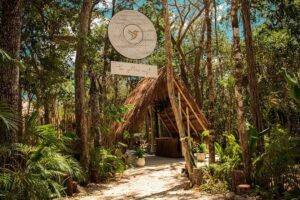 Floating breakfast in The Yellow Nest (near Dos Ojos cenote) - Chef Julio’s floating breakfast: what you get and why it works