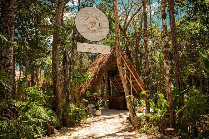 Floating breakfast in The Yellow Nest (near Dos Ojos cenote) - Chef Julio’s floating breakfast: what you get and why it works
