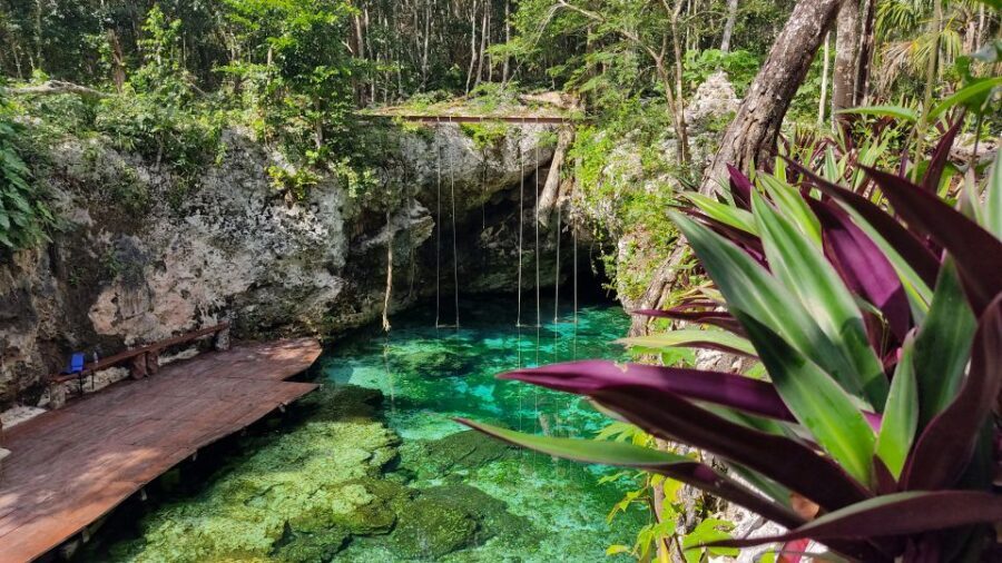 From Cancun: Day Trip to Tulum, Cenote & Playa del Carmen - Price and value: what $51 really buys (and what to add)