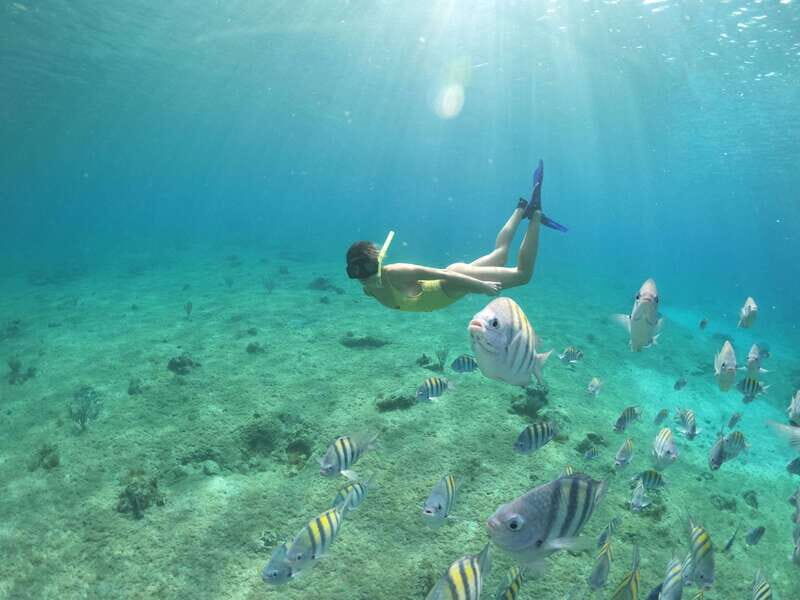From Cozumel: 3 Reefs Boat Tour with Drinks and Snorkeling - Price and value: is $57 a good deal here?