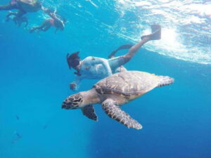 From Cozumel: 3 Reefs Boat Tour with Drinks and Snorkeling - Snorkeling gear, safety, and what the guide actually does