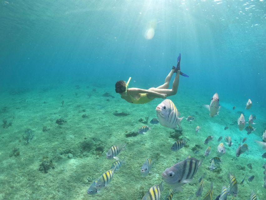 From Cozumel: 3 Reefs Boat Tour with Drinks and Snorkeling - The boat time: drinks, shade, and the pace between stops