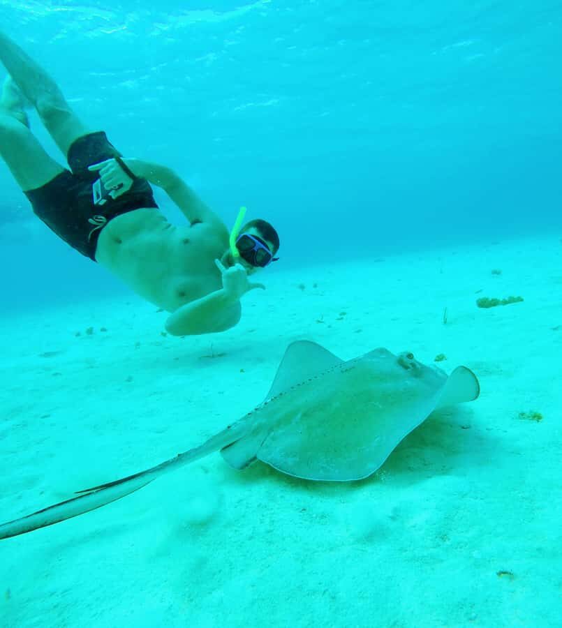 From Cozumel: Starfish, Stingrays and the Turtle Sanctuary - Key things to know before you go