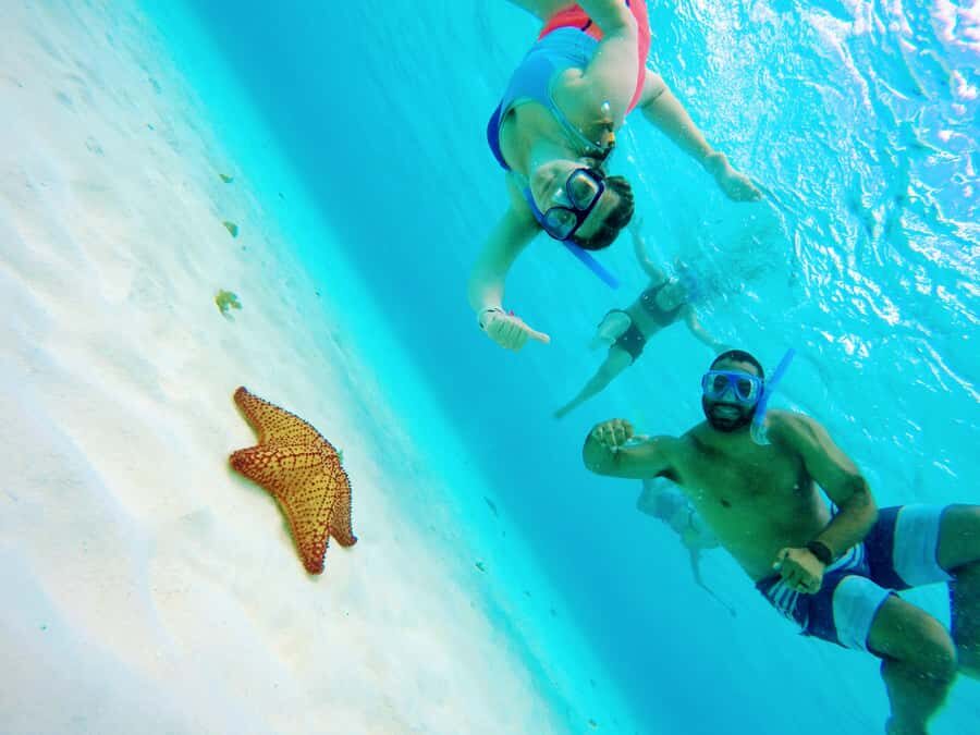 From Cozumel: Starfish, Stingrays and the Turtle Sanctuary - First Stop: Palancar Area Snorkeling and Getting Your Bearings Fast