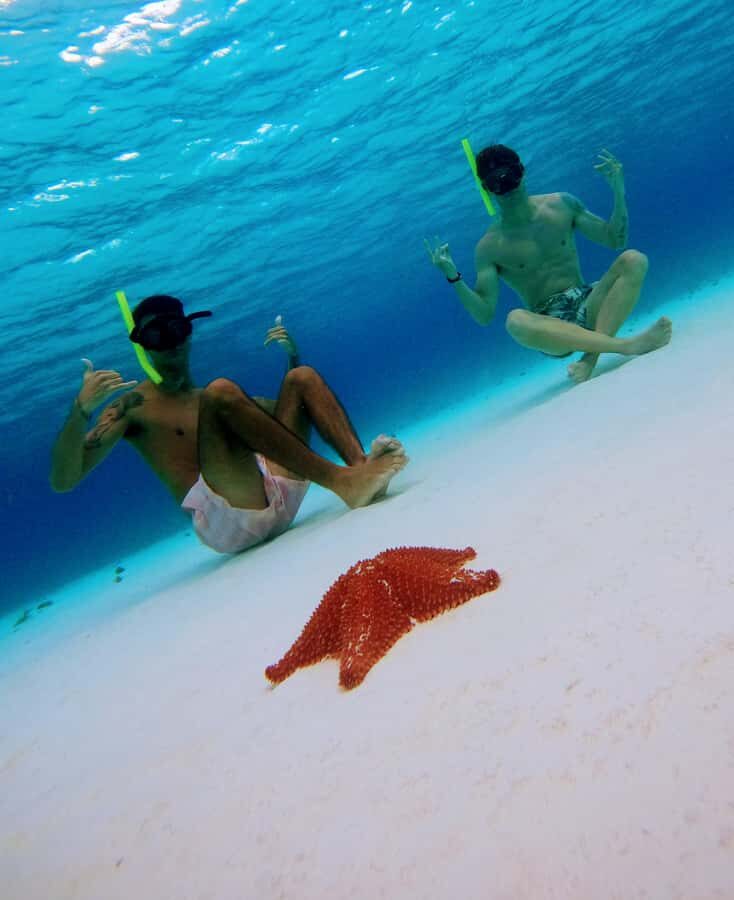 From Cozumel: Starfish, Stingrays and the Turtle Sanctuary - Playa El Cielito Shallow Water: The Stingray Beach Moment