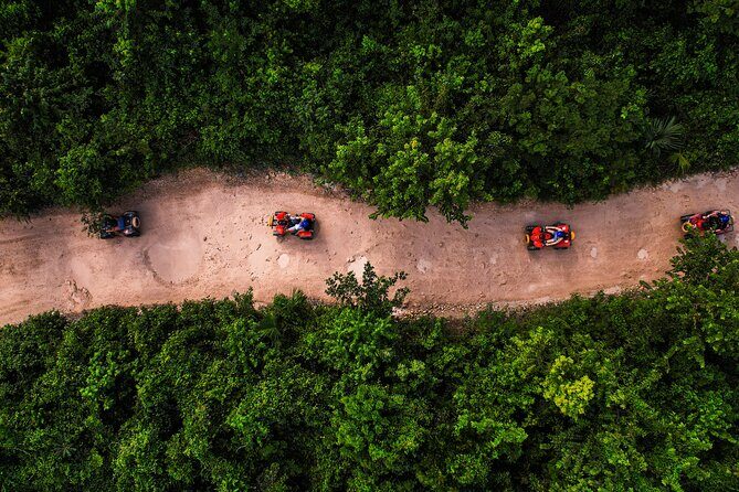 From Playa del Carmen ATV Adventure with Ziplines, Cenote - The value math: $49 for three jungle thrills
