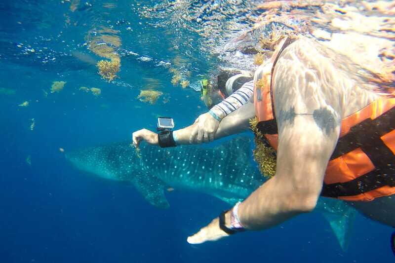 From Playa del Carmen: Whale Shark Tour - Guides and crew: why names come up for a reason