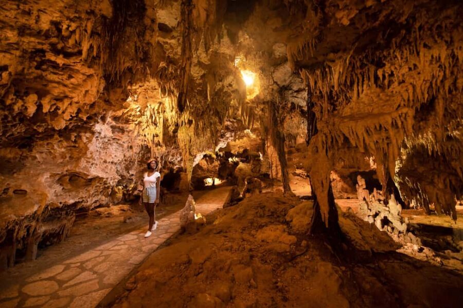 From Playa del Carmen: Xplor Park Admission, Full Day - Food at Xplor: buffet lunch plus energy stops that keep you moving