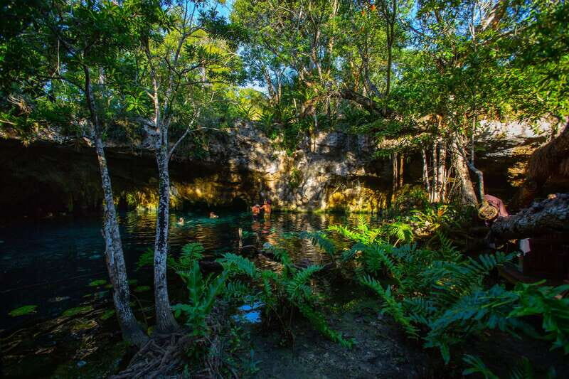 From Riviera Maya: 3 Cenotes Adventure Tour with Lunch - Price check: is $169 worth it for three cenotes and lunch?