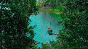 From Riviera Maya: Coba, Punta Laguna & Cenote Guided Trip - Punta Laguna Reserve: monkeys in the treetops, plus hiking or zip-line