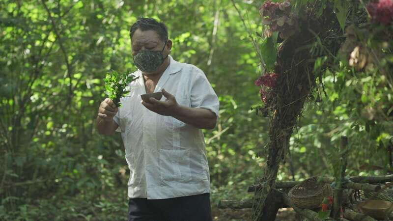 From Riviera Maya: Coba, Punta Laguna & Cenote Guided Trip - What you get for $184: value beyond the ticket price