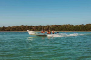 From Riviera Maya: Sian Ka'an Half Day Tour w/ Lunch - Getting There From Tulum: The Timing That Matters