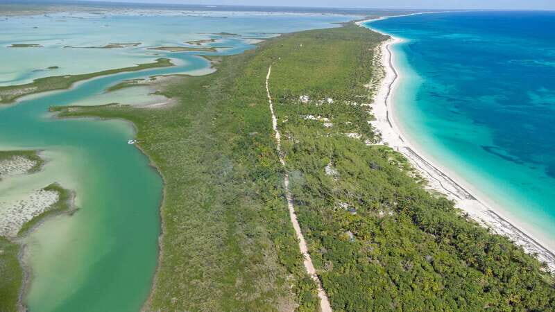 From Riviera Maya: Sian Ka'an Half Day Tour w/ Lunch - Coconut Groves, a Sea Swim Option, and the Best Kind of Break