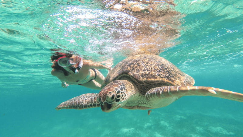 From Riviera Maya: Tulum, Cenote, & Akumal Turtle Swim Trip - Practical tips: swim essentials, no-luggage rules, and the one timing detail to respect