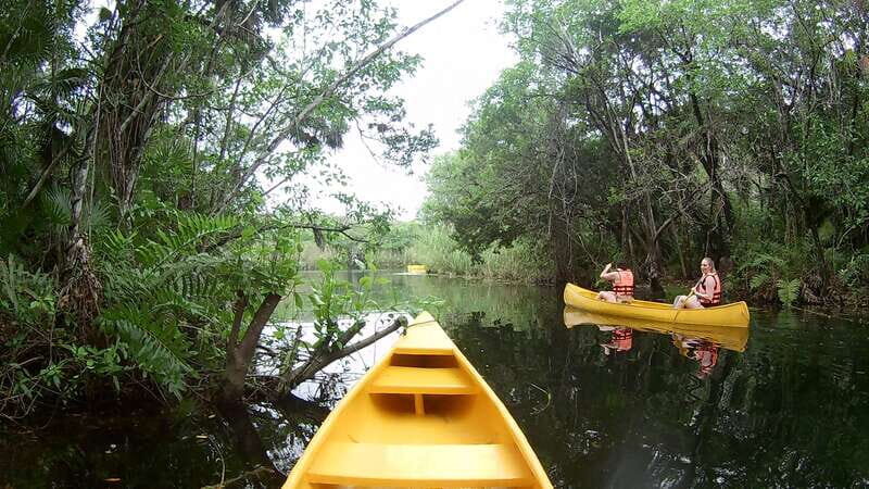 From Tulum: Four-Cenote Adventure - Small Group Size: Why Max 10 People Feels Like a Win