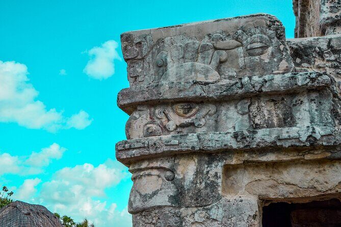 Full Day Tulum Ruins Tour Cenote and Swimming with Sea Turtles - Stop 2: Cenote Nohoch Nah Chich, jungle cave swimming