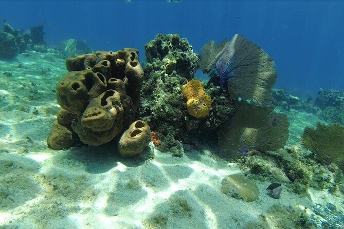 Fun Dive Machine in Playa del Carmen or Cozumel-For Certificates - Practical prep: certification, flying rule, and what to bring