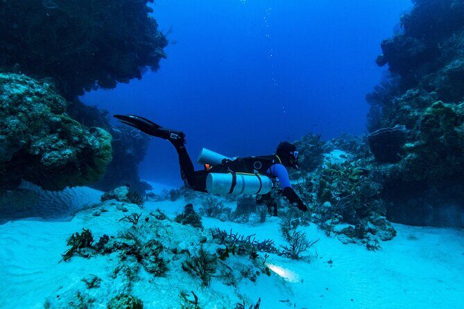 Fun Dive Machine in Playa del Carmen or Cozumel-For Certificates - FAQ
