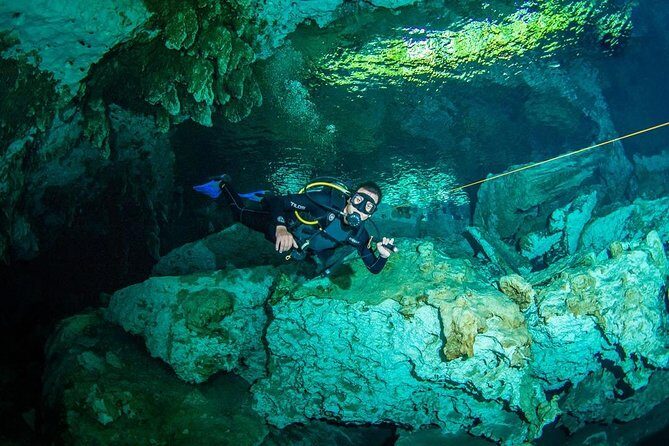 Go for 2 dives in cenote Dos ojos for certified divers - Bat Cave: tunnels, flashlights, and a mood shift underwater