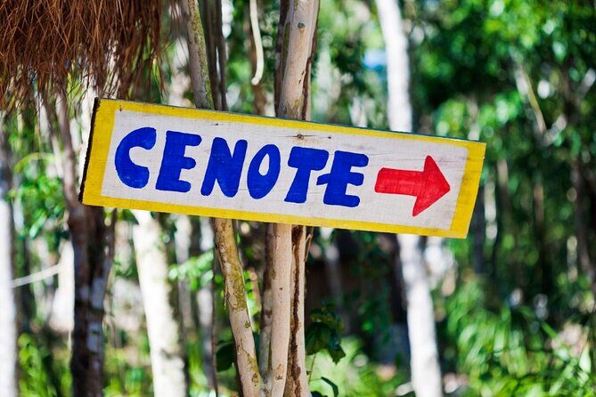 Guided Tour to Chichen Itza Cenote and Valladolid - Sacred Cenote: what the swim is like and how to not waste your time