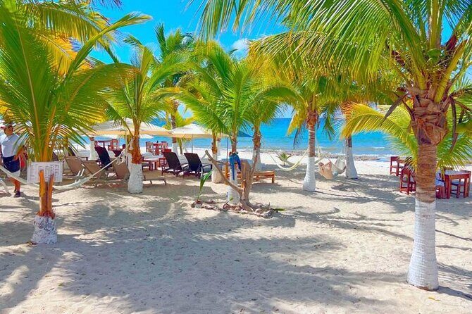 Half-Day Island Tour with Mayan Experience & Beach Break - Tequila tasting and Mexican food samplers: small tastes, big flavor impact