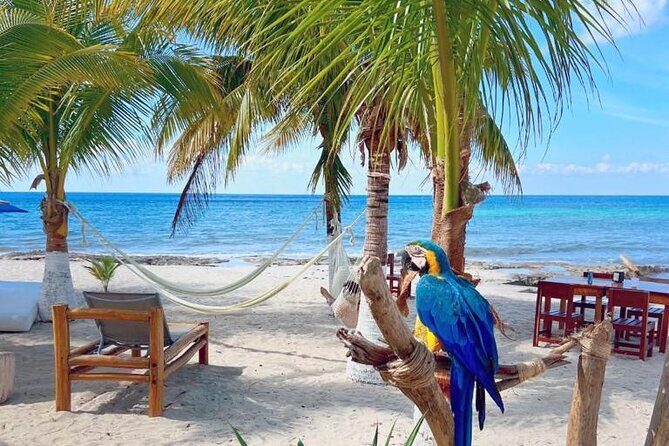 Half-Day Island Tour with Mayan Experience & Beach Break - Cozumel downtown walk: clocktower sighting and shop-stroll time
