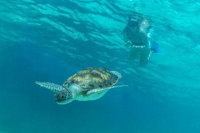 Half-Day Luxury Sailing Experience in Tulum with Open Bar - Enter the Boat: Gear Setup, Crew Attention, and a Live, Fun Group Dynamic