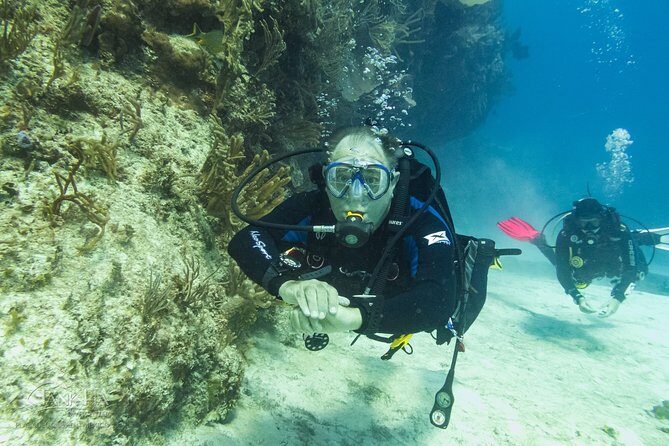 Half-Day Scuba Diving in Playa del Carmen for Small-Group - Reef time: two different coral sites, guided spotting, and typical time underwater