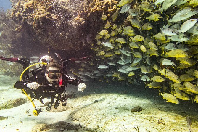 Half-Day Scuba Diving in Playa del Carmen for Small-Group - Who this is best for (and who should think twice)
