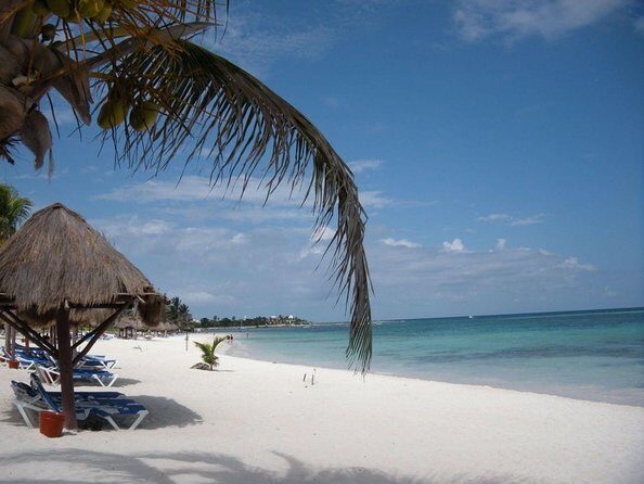 Half-Day Sea Turtle and Cenote Snorkeling Tour from Cancun & Riviera Maya - Key points before you go