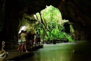 Half-Day Sea Turtle and Cenote Snorkeling Tour from Cancun & Riviera Maya - Parque de Cenotes Yax-Muul: how the underground river swim feels