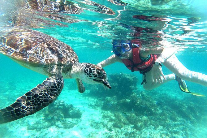 Half-Day Sea Turtle and Cenote Snorkeling Tour from Cancun & Riviera Maya - Cenote logistics: walking routes, camera rules, and photo cost reality