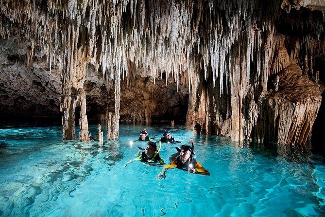 Half-Day Sea Turtle and Cenote Snorkeling Tour from Cancun & Riviera Maya - Should you book the Half-Day Sea Turtle and Cenote Snorkeling Tour?